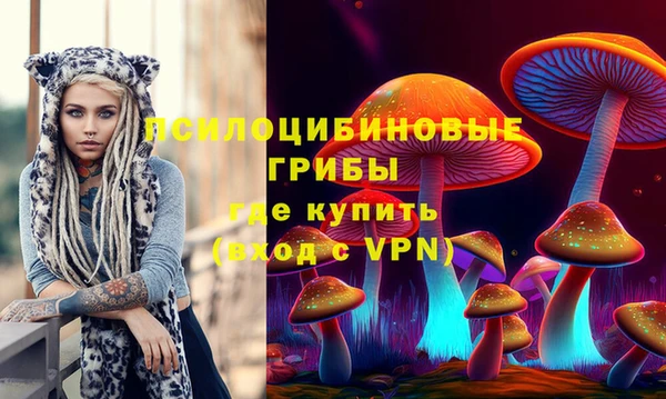 шишки Балахна